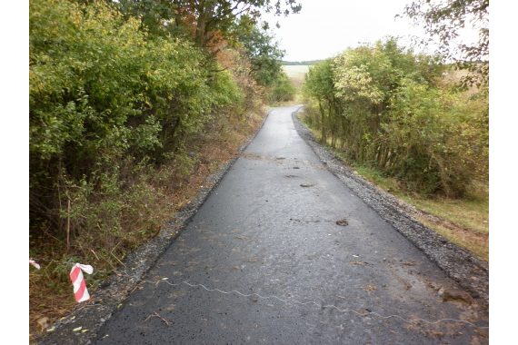 Výstavba a obnovená polních cest v k.ú. Měrunice - obrázek